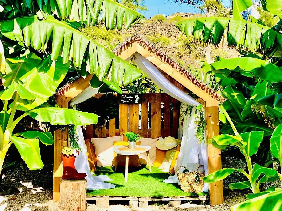 Сasa de vacaciones Villa Bernegal Moneyba Hot Tub Climatizado Piscina Y Jardin Buzanada